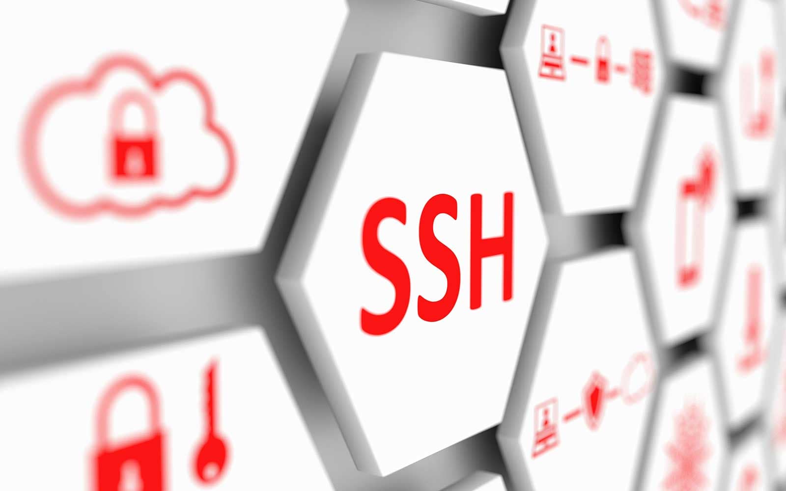 Cách thêm SSH key vào thiết bị UniFi | WiFi.FPT.net